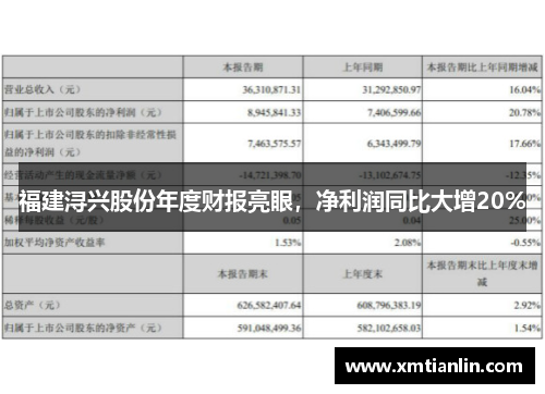 福建浔兴股份年度财报亮眼，净利润同比大增20%